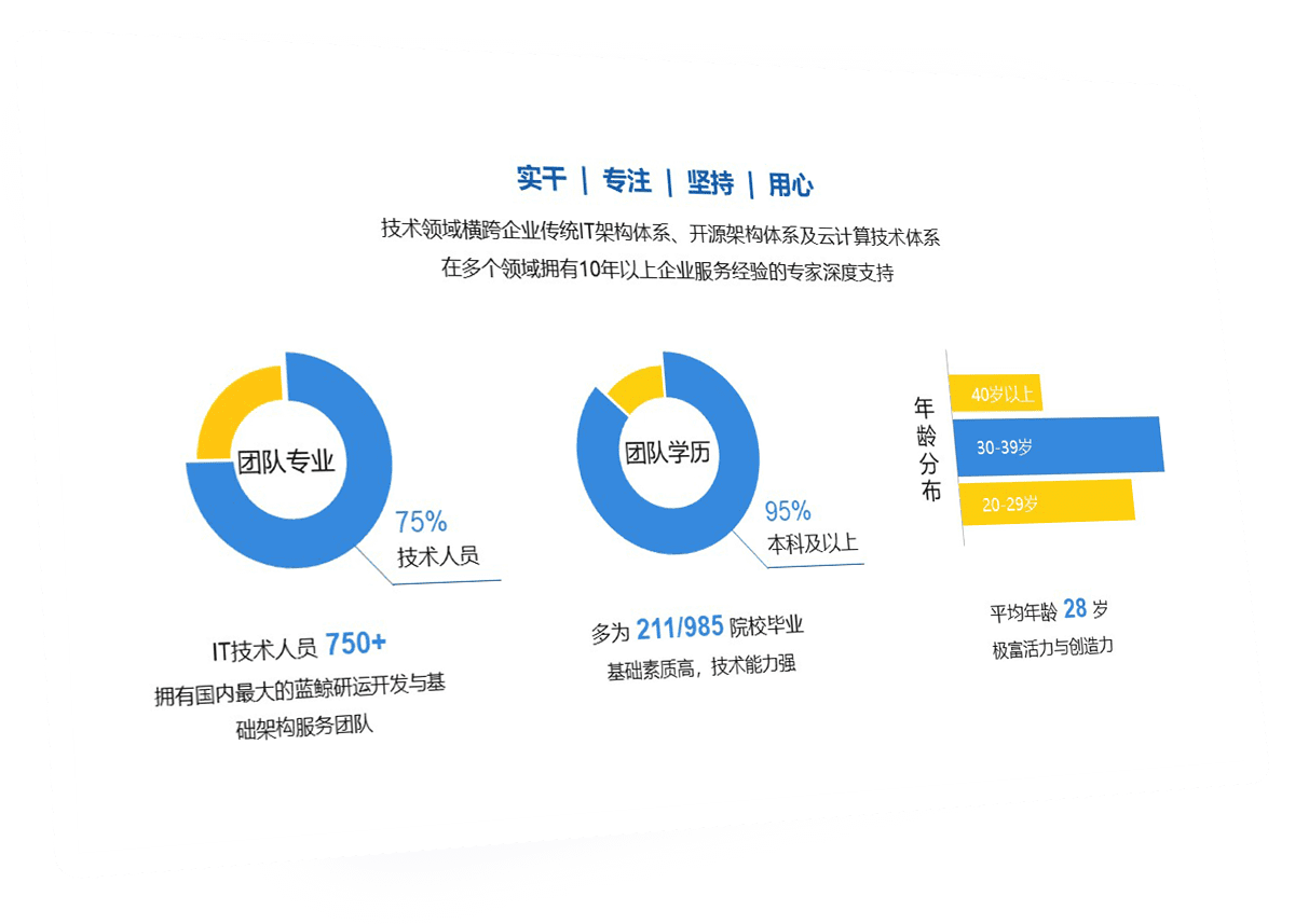 IT手艺职员稳固